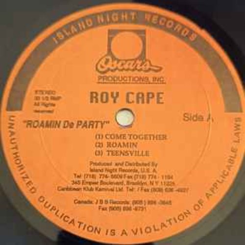 Roamin' The Party