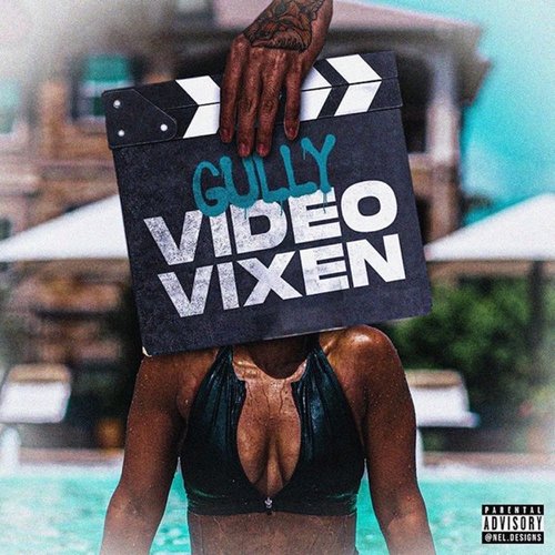 Video Vixen