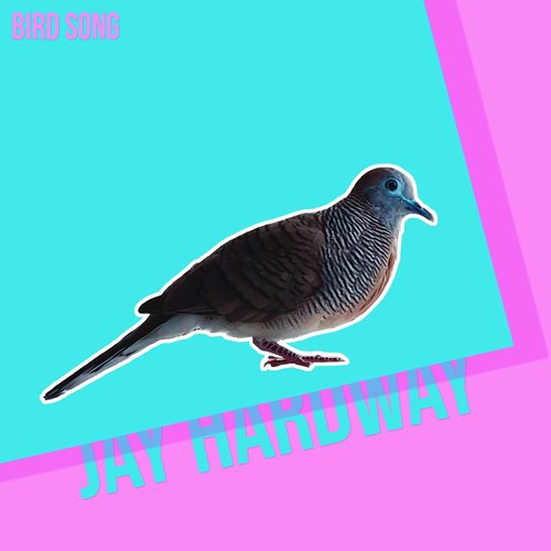 Bird Song - Single
