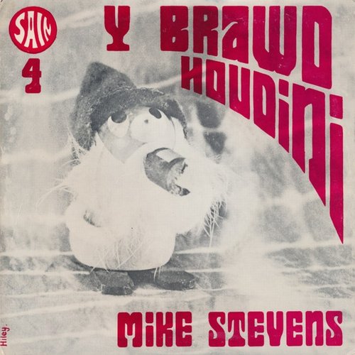 Y Brawd Hwdini