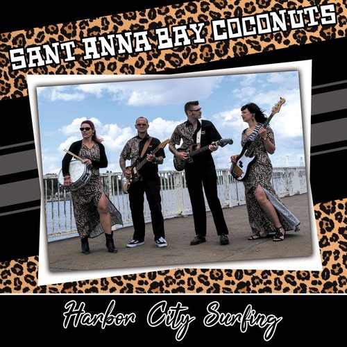 Harbor City Surfing