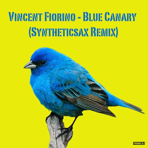 Blue Canary - Single