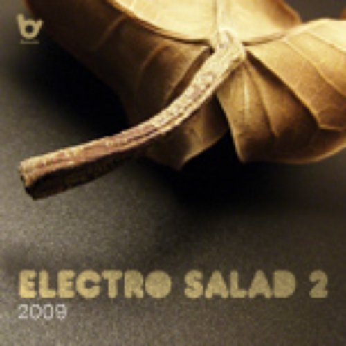 Electro salad 2