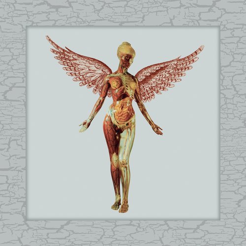 In Utero (30th Anniversary Super Deluxe)