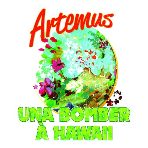 Una Bomber à Hawaii