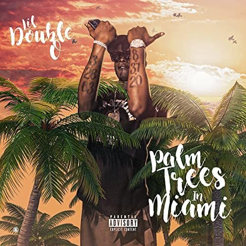Palm Trees in Miami