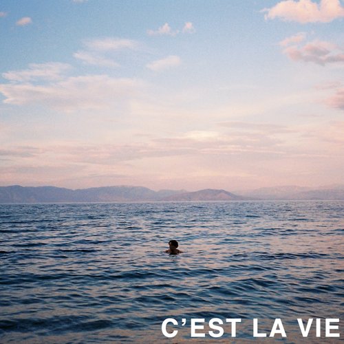 C'est La Vie - Single