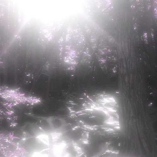 emo phase - Single