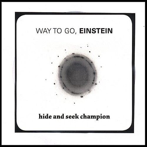 Hide and Seek Champion