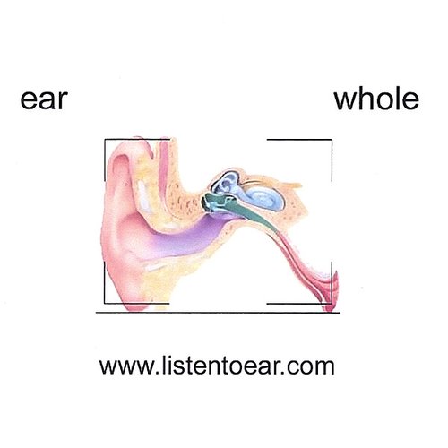 whole