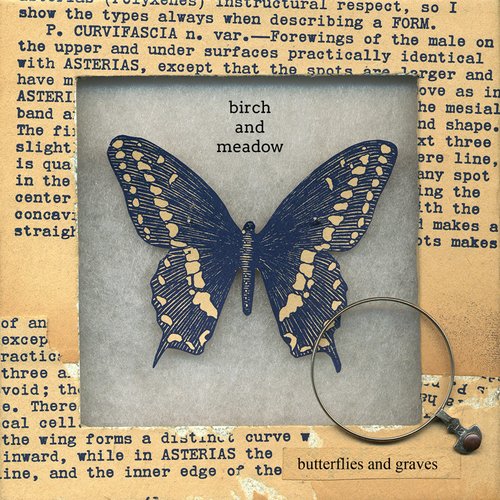 Butterflies And Graves