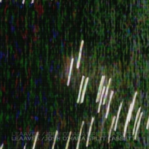 Leaaves / Josh O'Hara Split