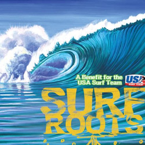 Surf Roots: A Benefit for the USA Surf Team
