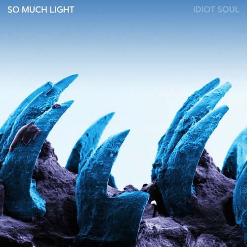 Idiot Soul EP