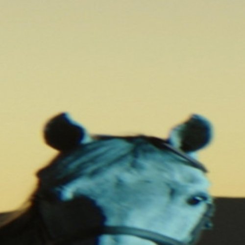 ALL ALONE, CLINING TO LIFE (Remix)