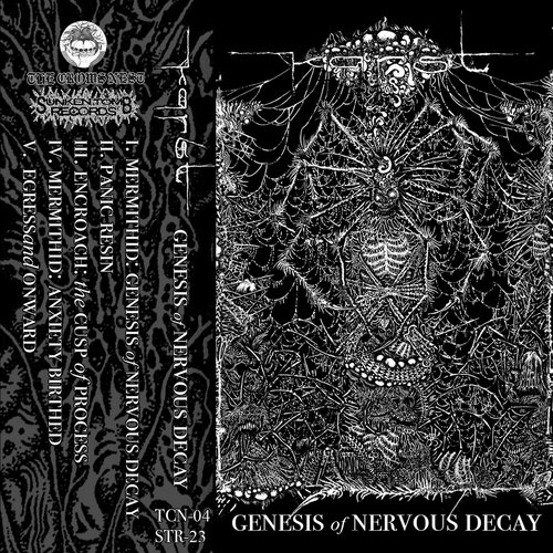 Genesis of Nervous Decay