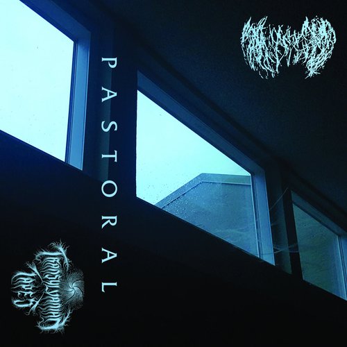 Pastoral