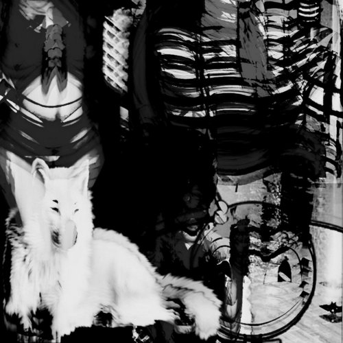 Wolf Poetry - Single
