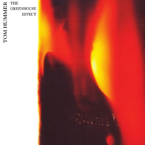 The Greenhouse Effect