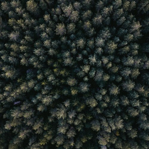 Culpa (Music for the Short Film)