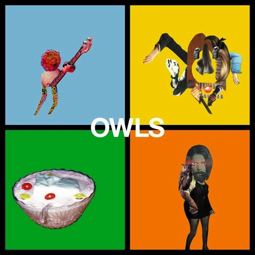 Owls