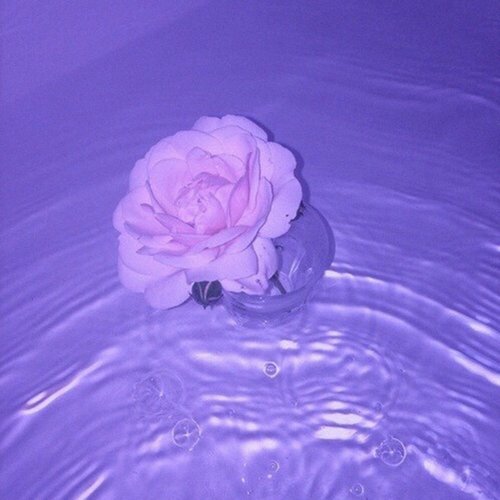 Sinking