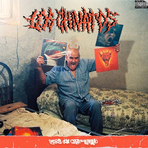 Perros Con Cara de Humano