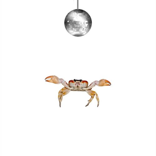 Crabwalk - Single