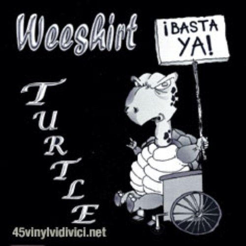 Turtle