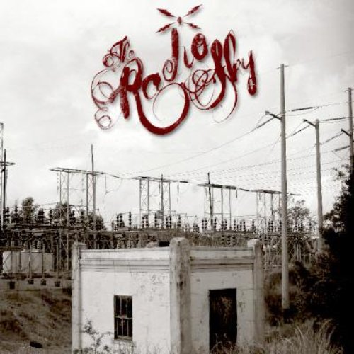 The Radio Sky