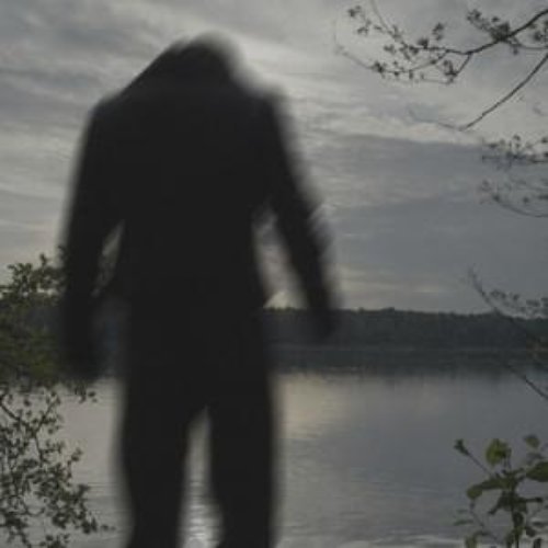 Bewegung [Explicit]