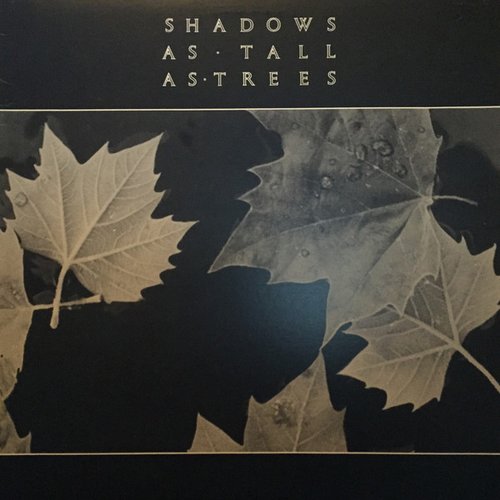 Shadows As Tall As Trees