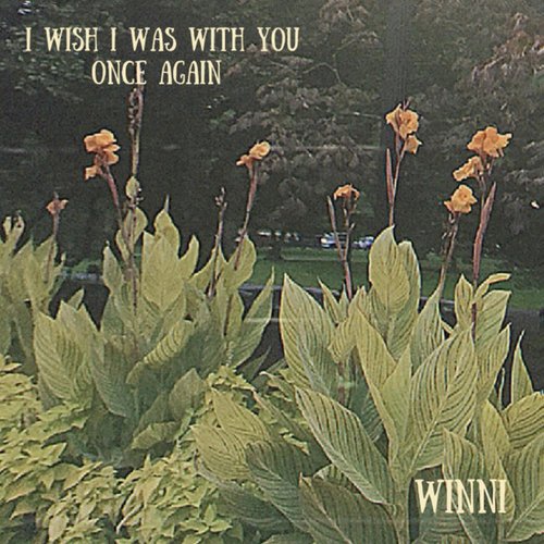 i wish i was with you once again