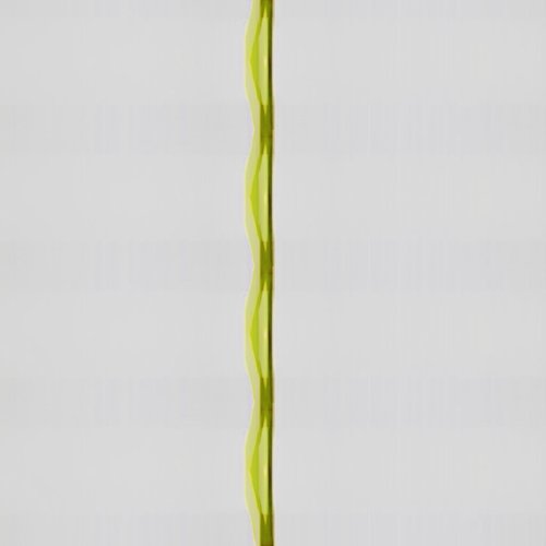 Leaves of Grass