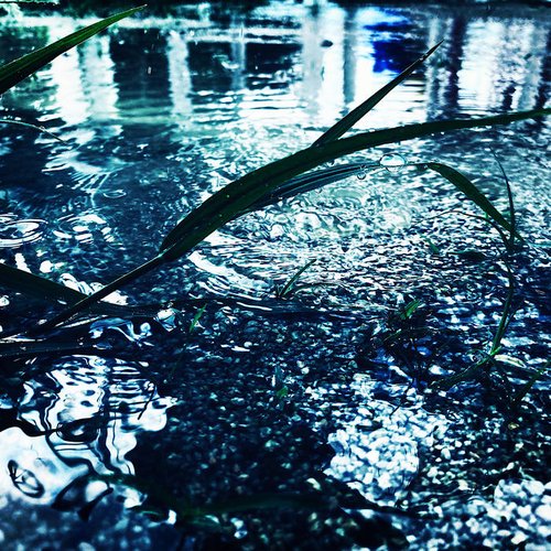 hide from the rain