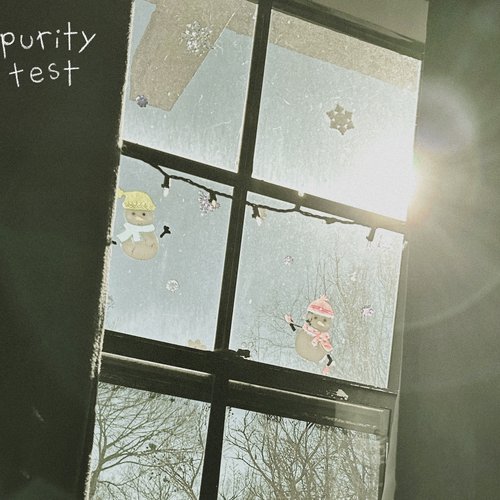 Purity Test