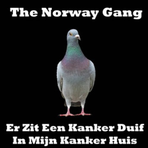 Er Zit Een Kanker Duif in Mijn Kanker Huis - Single