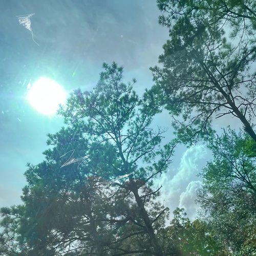 What I Needed - Single