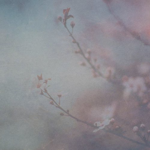 Elements