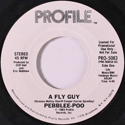 A Fly Guy
