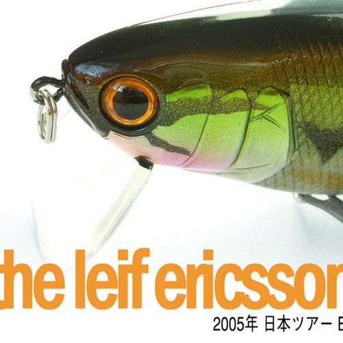 2005年 日本ツアー EP