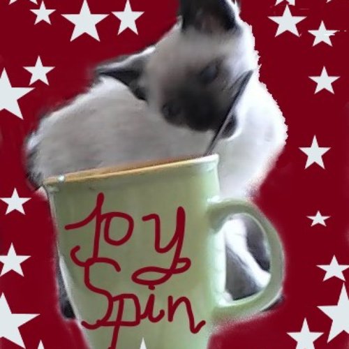 JoySpin
