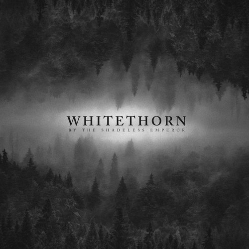 Whitethorn