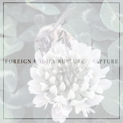 Rupture / / Rapture