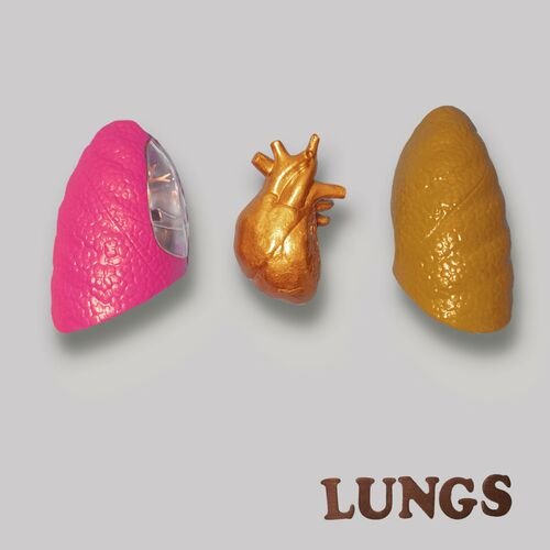Lungs