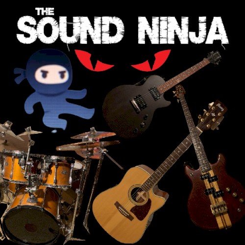 The Sound Ninja