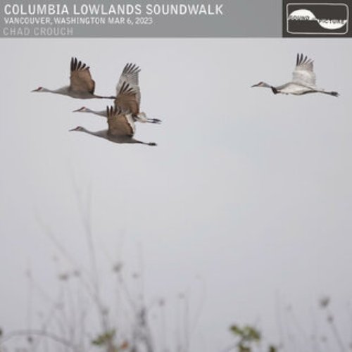 Columbia Lowlands Soundwalk