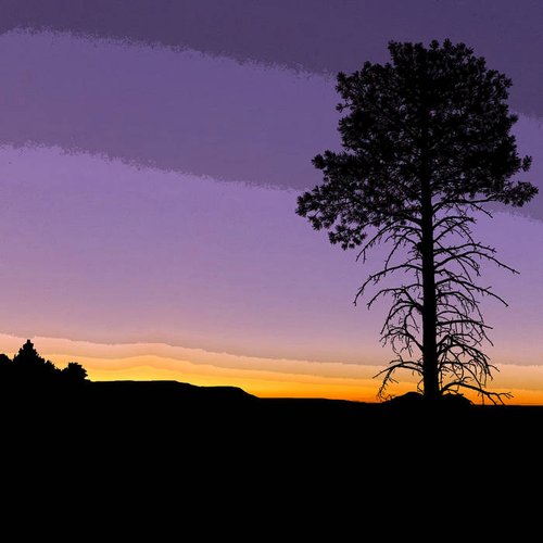 Dawn