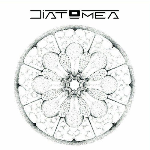 Diatomea