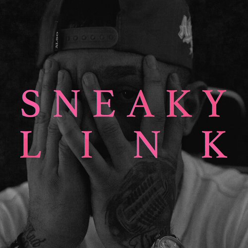 Sneaky Link